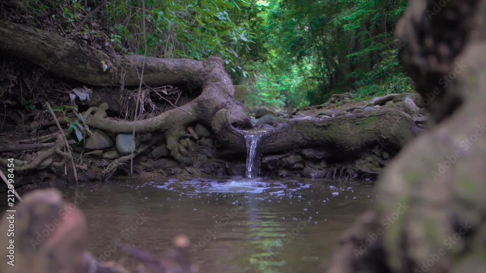 Slow motion dolly pan of small waterfall in a stream in the rainforest or jungle of Colombia, South America. Slow motion dolly pan of small waterfall in a stream in the rainforest or jungle of Colombia, South America.