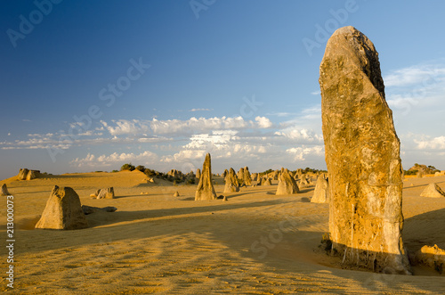 Strange limestone pillars emerge from the golden sand of the Pinnacles Desert in Nambung National Park, Western Australia. Lit by the late afternoon sun, with long shadows. 