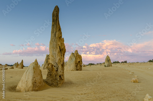 Strange limestone pillars emerge from the golden sand of the Pinnacles Desert in Nambung National Park, Western Australia, shortly after sunset.