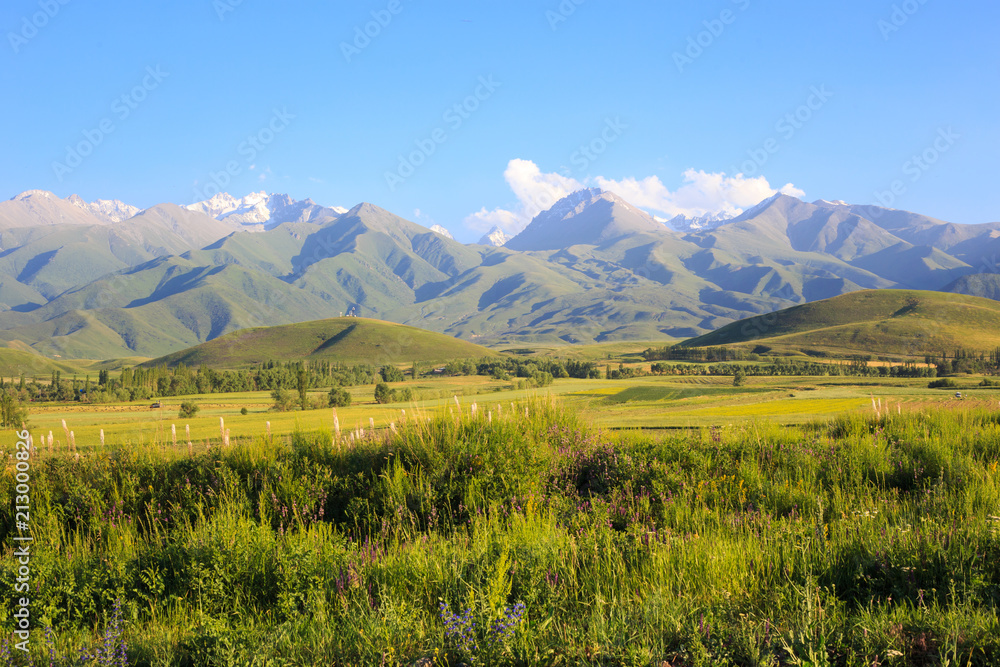 Mountains and green fields. Kyrgyzstan.