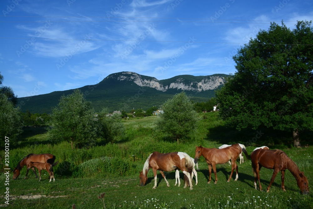 landscape landscape