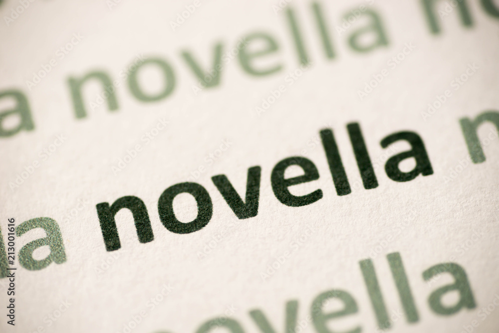 word novella printed on paper macro word novella printed on paper macro
