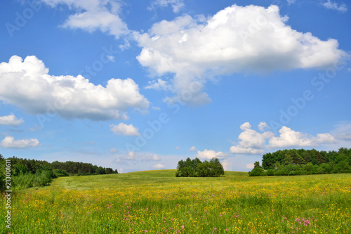 Spring nature grassland landscape against blue sky with clouds
