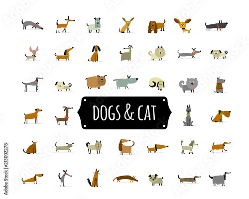 Cute dogs collection for your design