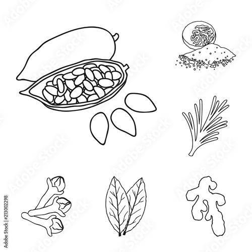 Herb and spices outline icons in set collection for design.Different kinds of seasonings vector symbol stock web illustration.