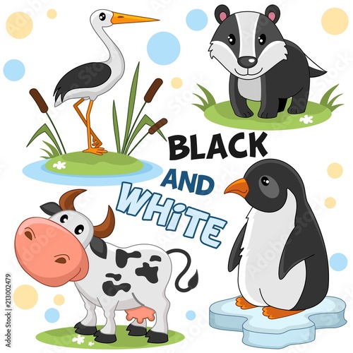 Set black-and-white of cartoon wild, domestic animals and birds for children and design. An illustration of a penguin on an ice floe, a badger, a cow and a heron or a stork in the reeds.