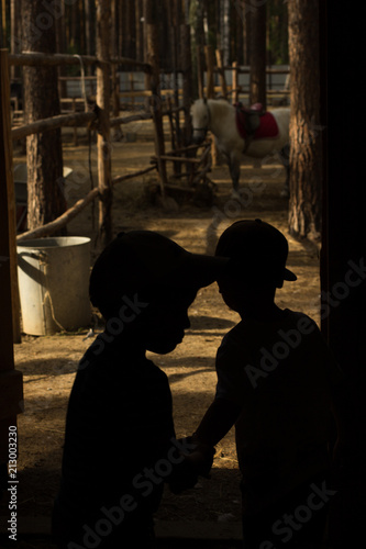 Two little boy watching a white horse in the paddock on the farm. Petting zoo.