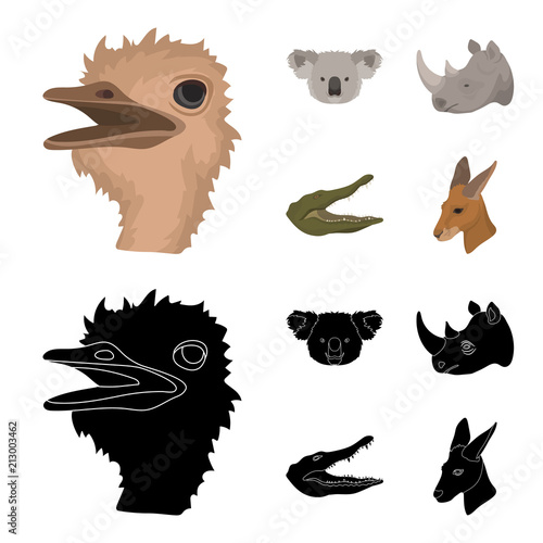 Ostrich, koala, rhinoceros, crocodile, realistic animals set collection icons in cartoon,black style vector symbol stock illustration web. photo