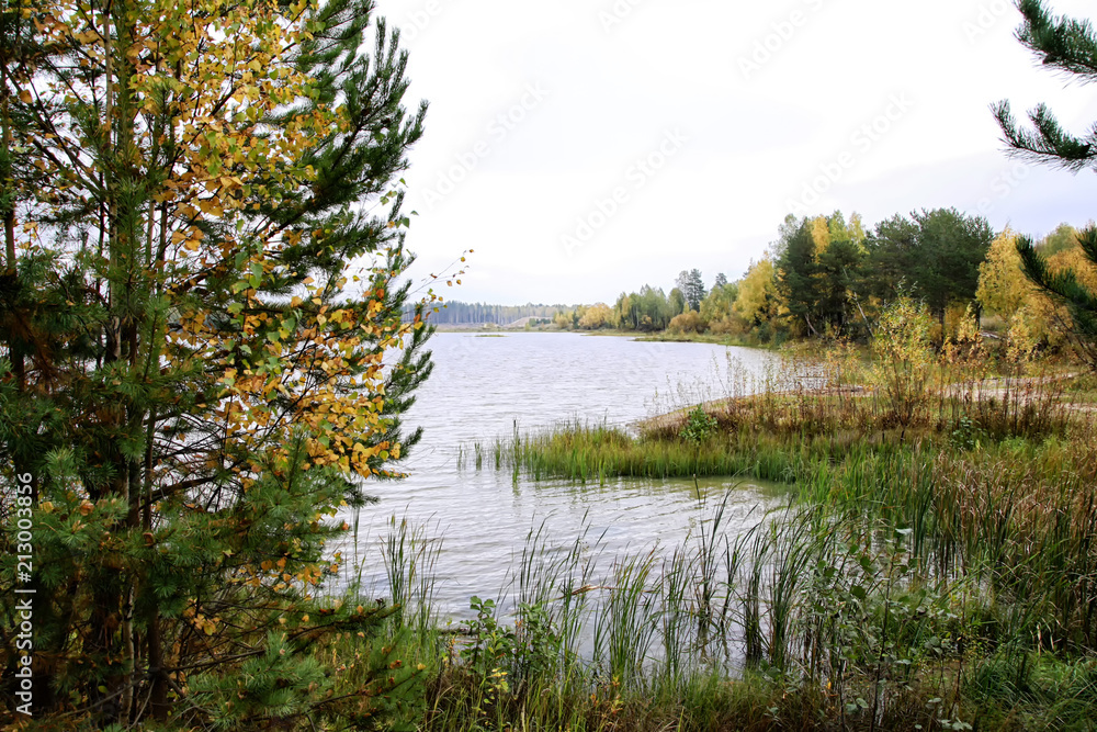 Obraz premium Autumn colours trees near the calm lake