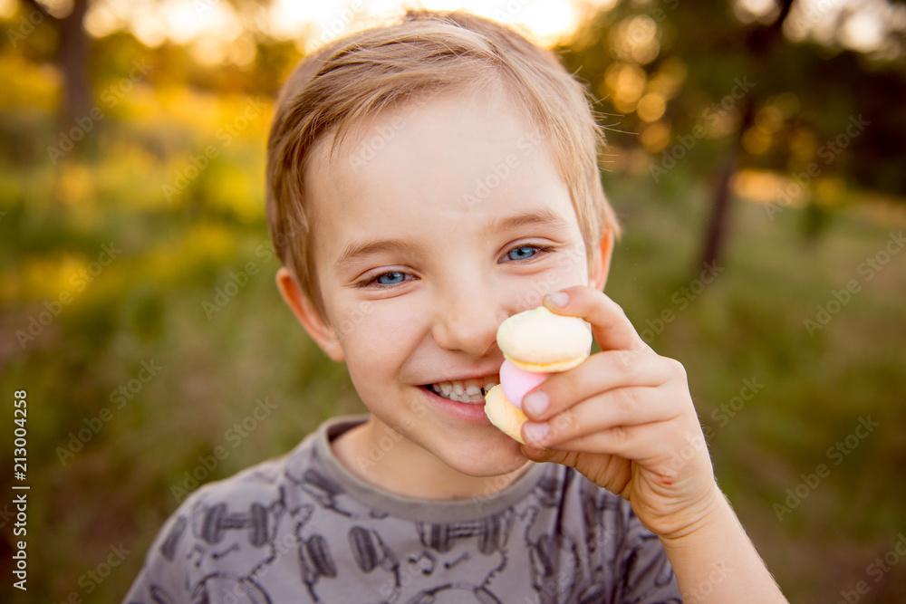 Boy with cookies. little blond boy eating a cookie. Funny boy with sweets at sunset. Round cookies, favorite dessert
Boy with cookies. little blond boy eating a cookie. Funny boy with sweets at sunset. Round cookies, favorite dessert