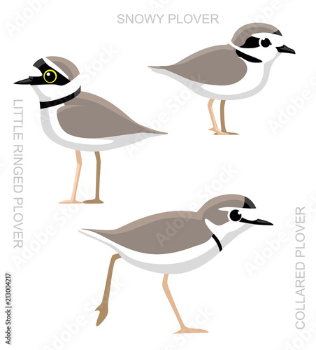 Bird Plover Set Cartoon Vector Illustration