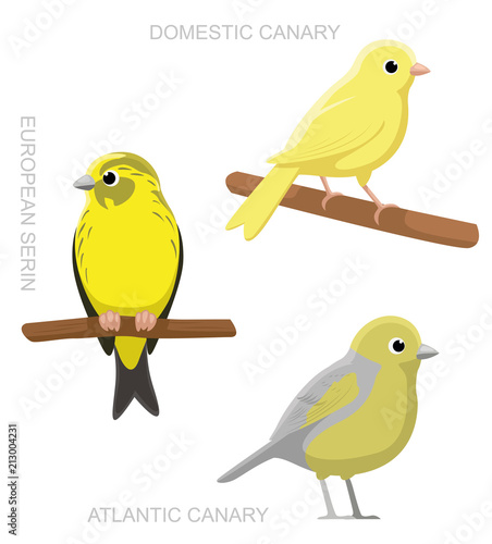 Bird Canary Set Cartoon Vector Illustration