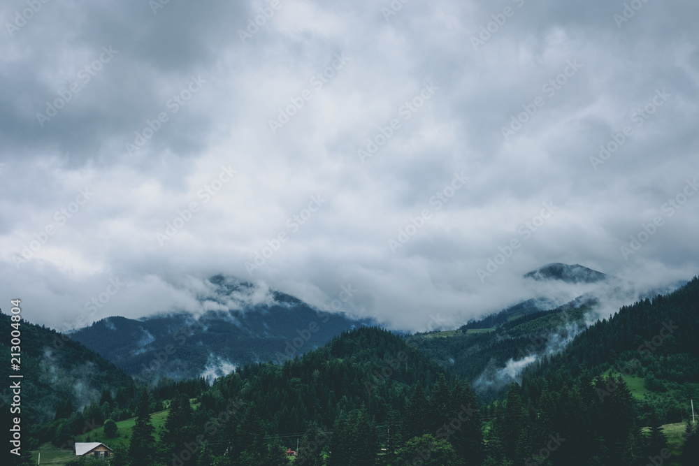 Green rain mountain forest in cloudy dark moody weather