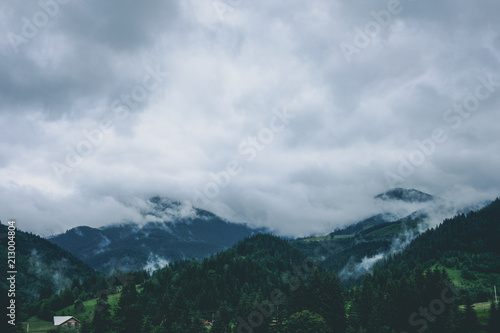 Green rain mountain forest in cloudy dark moody weather © Nickolay Khoroshkov