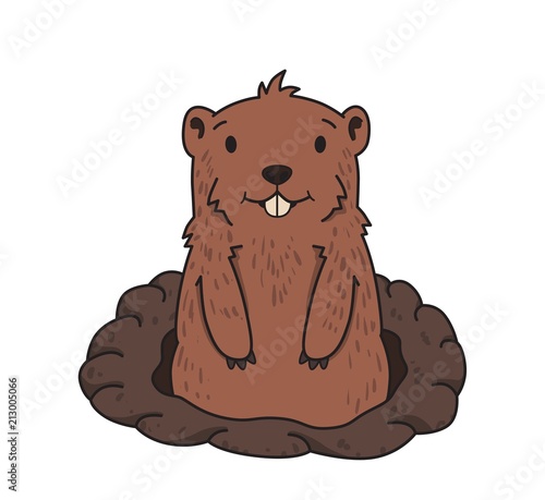 Obraz na plátně Cute friendly groundhog looking out from the burrow on white background