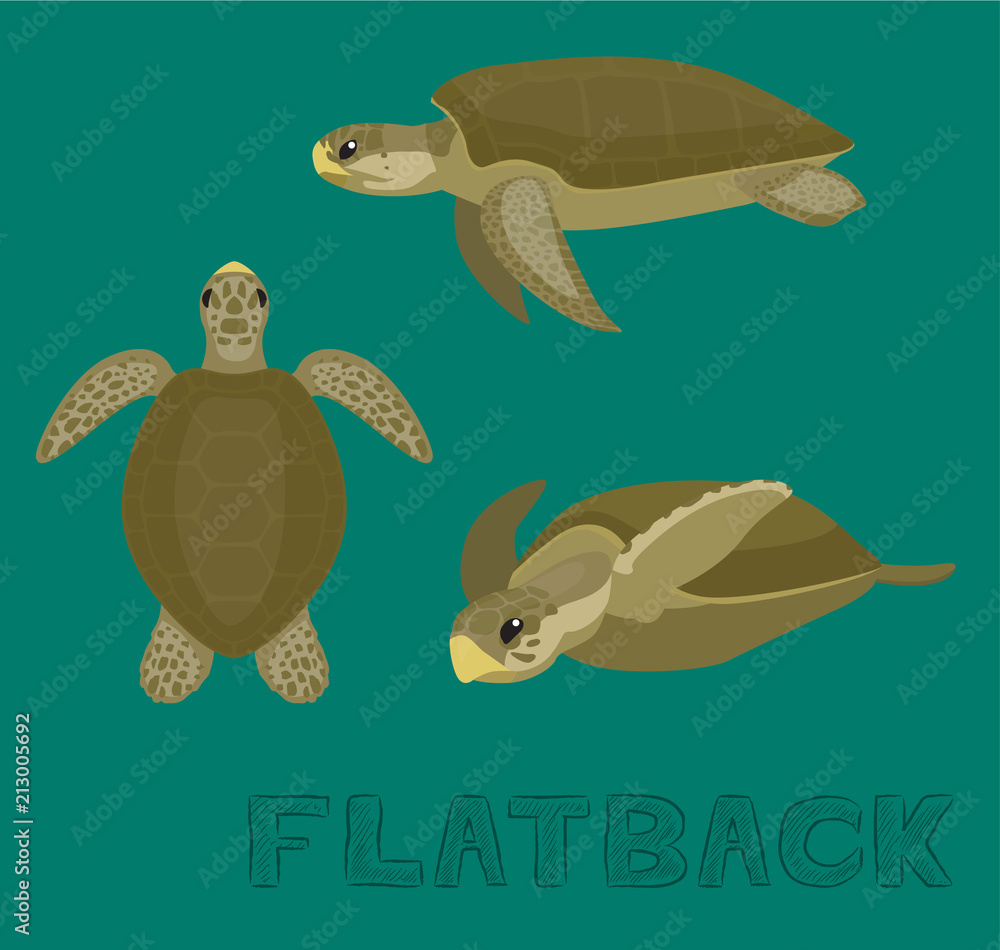 Obraz premium Ilustracja wektorowa kreskówka Flatback żółwia morskiego