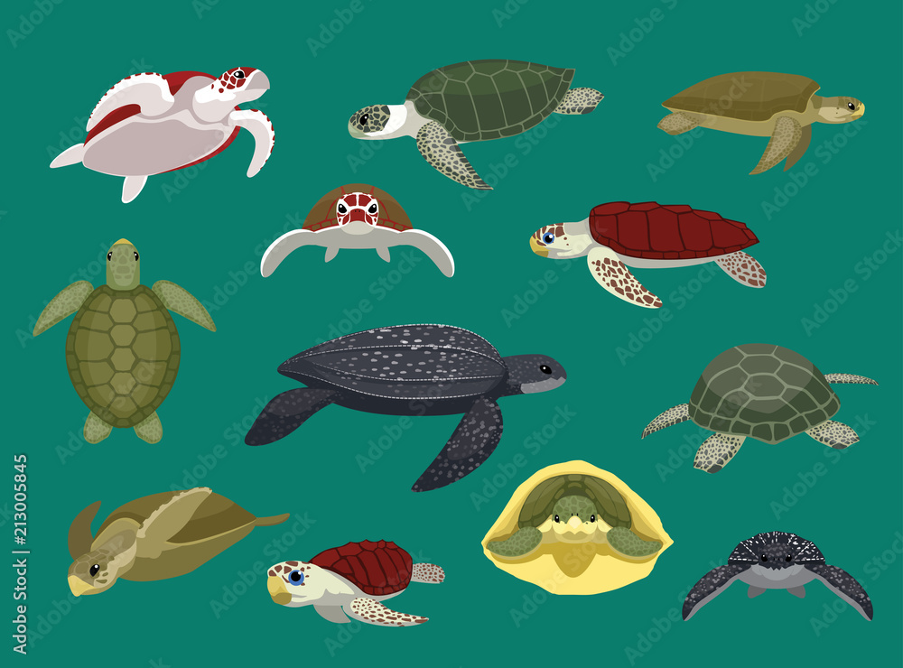 Fototapeta premium Różne żółw morski stwarza ilustracji wektorowych