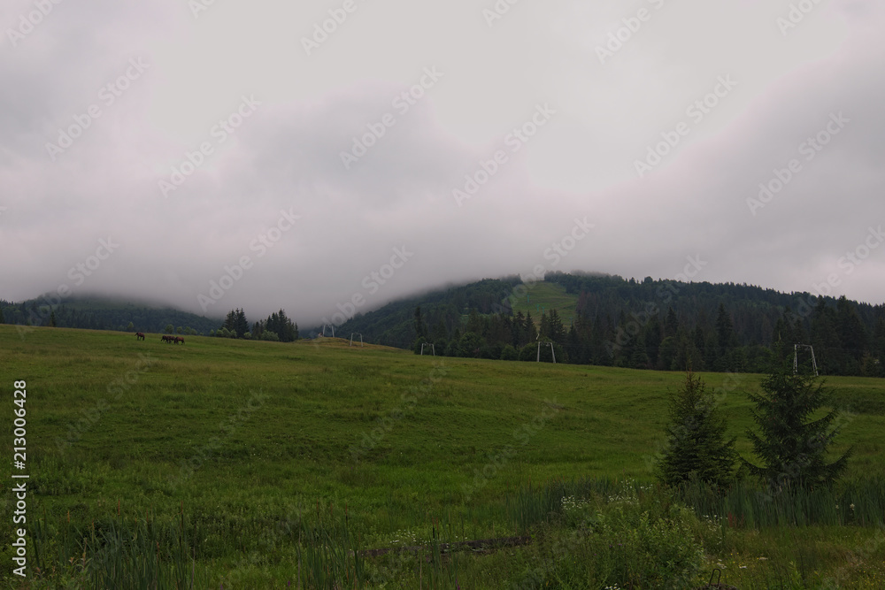 Summer rainy day. Landscape in the mountains with  horses and heavy fog at the background. Zakarpattya, Ukraine