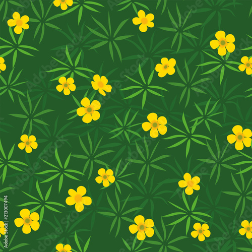 Fototapeta Naklejka Na Ścianę i Meble -  Summer field of yellow buttercups seamless pattern
