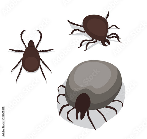 Tick Poses Cartoon Vector Illustration