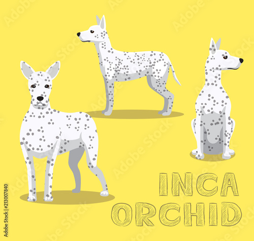 Dog Inca Orchid Cartoon Vector Illustration