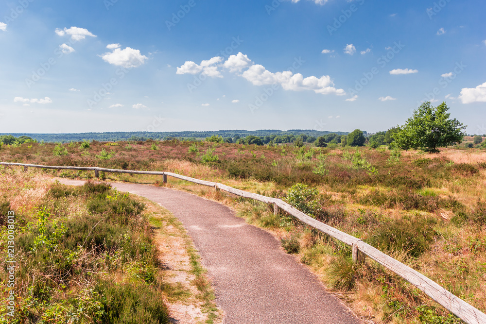 Walking path in national park Sallandse Heuvelrug, The Netherlands Walking path in national park Sallandse Heuvelrug, The Netherlands