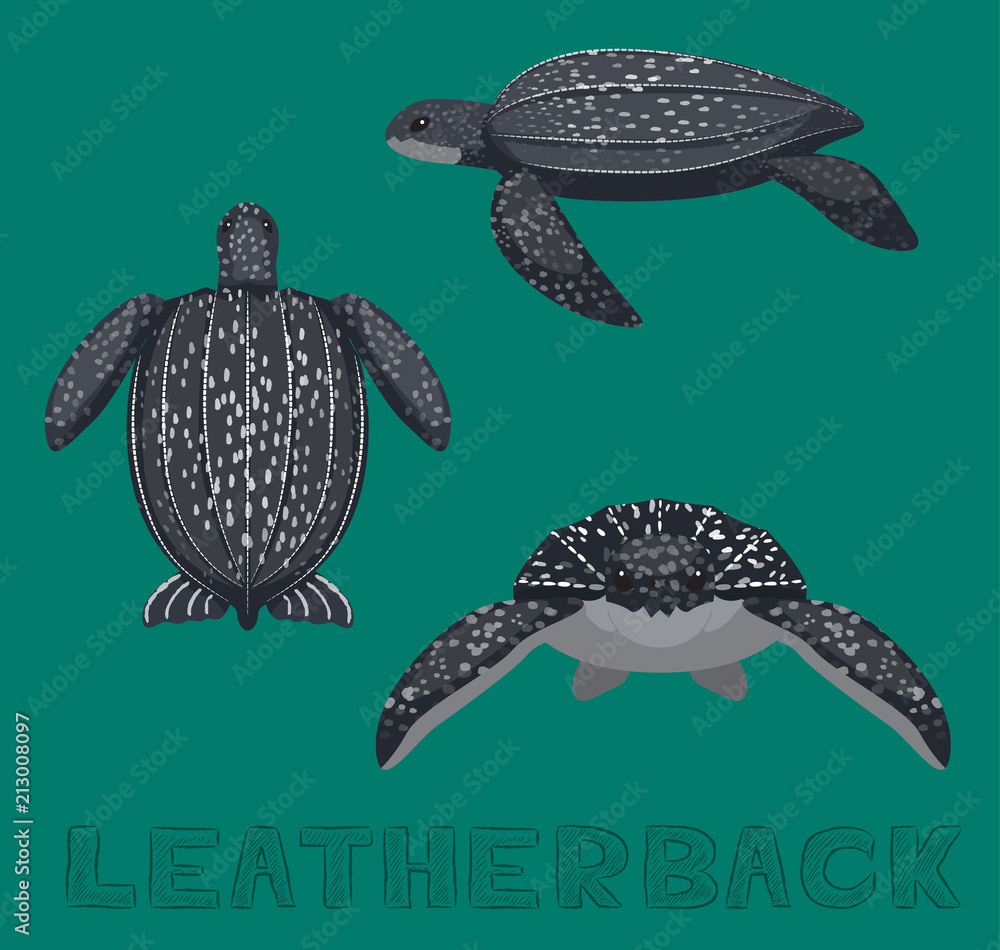 Obraz premium Ilustracja wektorowa kreskówka skórzasty żółw morski
