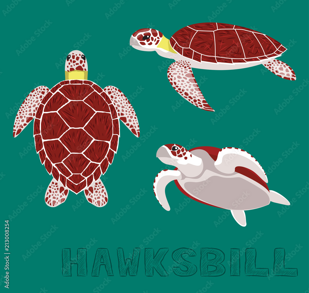 Obraz premium Ilustracja wektorowa kreskówka szylkretowy żółw morski