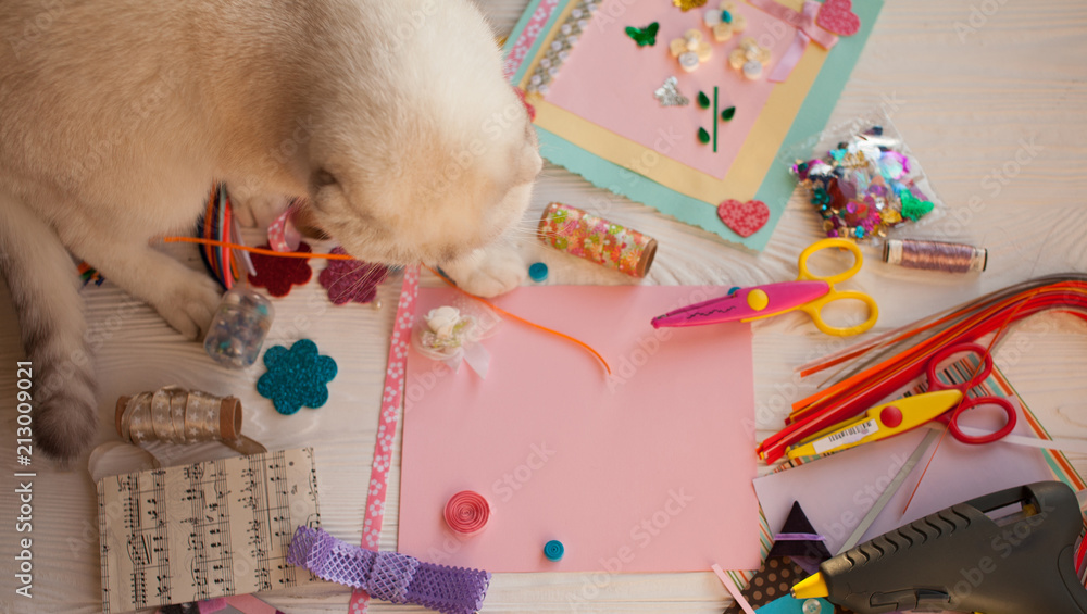 Fototapeta premium scrapbook background. Card and tools with decoration