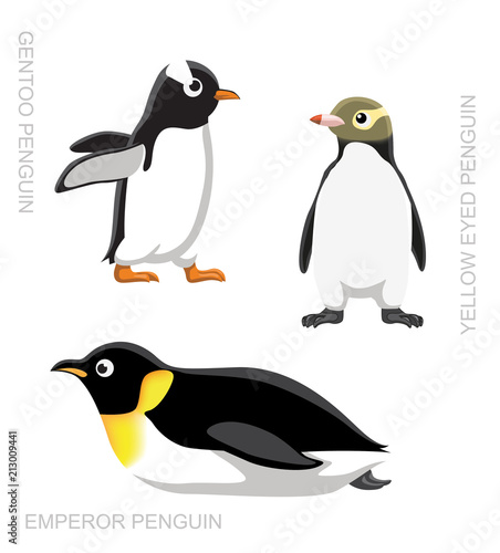 Bird Penguin Set Cartoon Vector Illustration