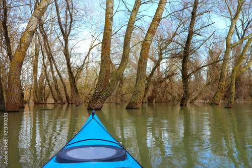 View from the bow of blue kayak on flooded trees during the spring high water on the Danube river. Kayaking in a wild forest among flooded trees.