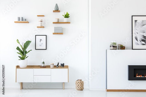 Plant on wooden white cupboard in apartment interior with posters and fireplace. Real photo photo