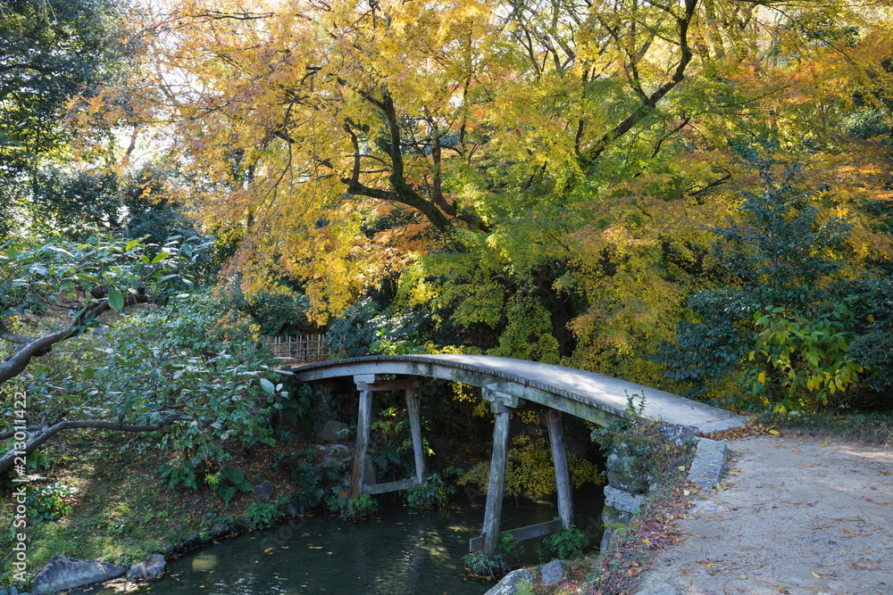 Colorful maple leaves and wooden bridge
