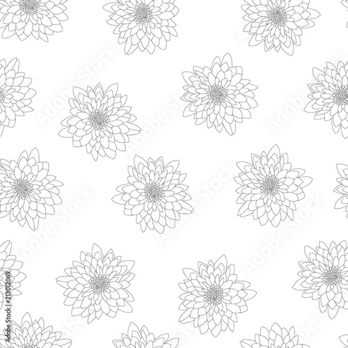 Chrysanthemum Outline on White Background