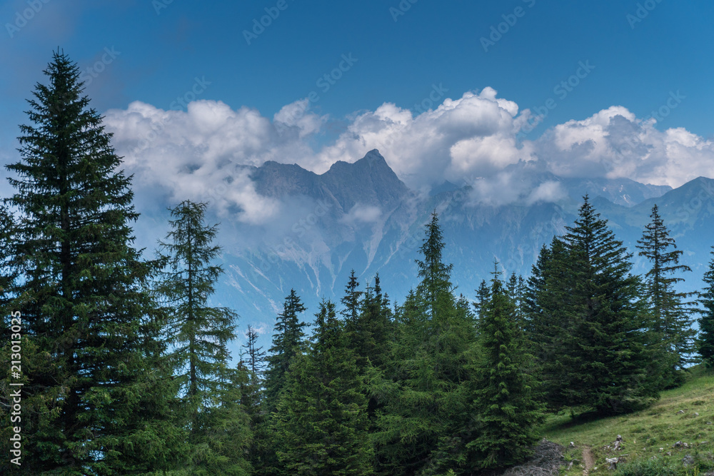 gorgeous Swiss Alps mountain landscape in summer with forest in the foreground