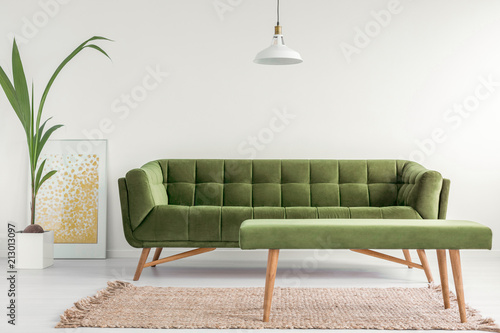 Olive green, stylish settee and an upholstered bench in a bright living room interior with white walls and a plant. Real photo. photo