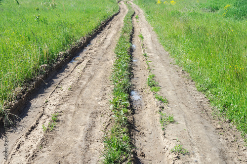 Dirt road in the meadow, summer time