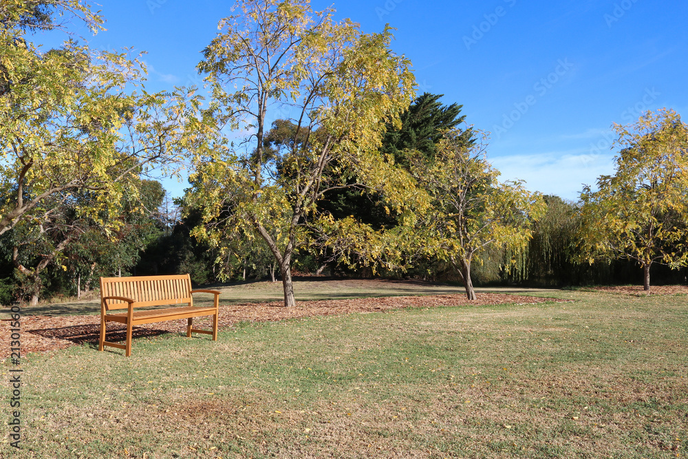 an empty wooden park bench seat in a park in autumn
