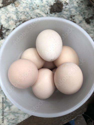 Eggs