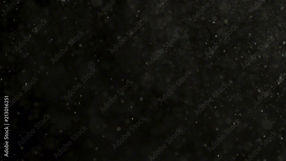 organic particles elegantly float in slow motion organic particles elegantly float in slow motion