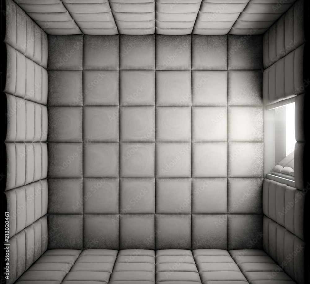 Empty Padded Cell With Open Door Empty Padded Cell With Open Door