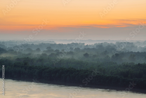 Mystical view on riverbank of large island with forest under haze at early morning. Mist among layers from tree silhouettes under predawn sky. Morning calm atmospheric landscape of majestic nature. © Daniil