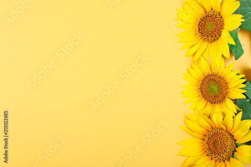 Beautiful sunflowers on yellow background.View from above. Background with copy space.