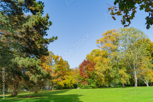 Park © Vitalij Kreker