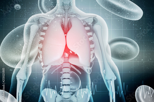 Healthy Human Lungs 3d illustration
