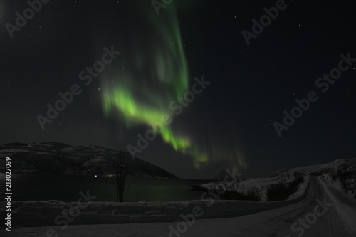 Fototapeta Naklejka Na Ścianę i Meble -  The northern lights (Aurora Borealis) over Seljelvnes, Troms by the sea and the snowy mountains