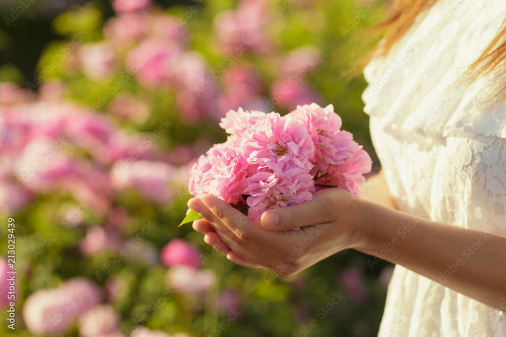 Woman holding roses closeup. Summer season. Woman holding roses closeup. Summer season.