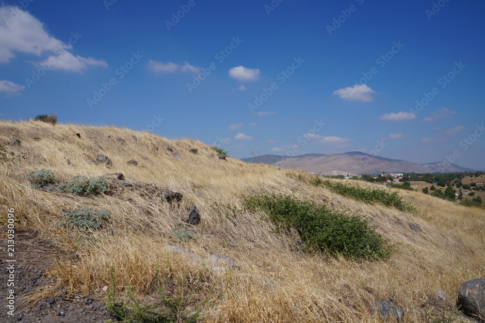Israel Hillside near Galilee
