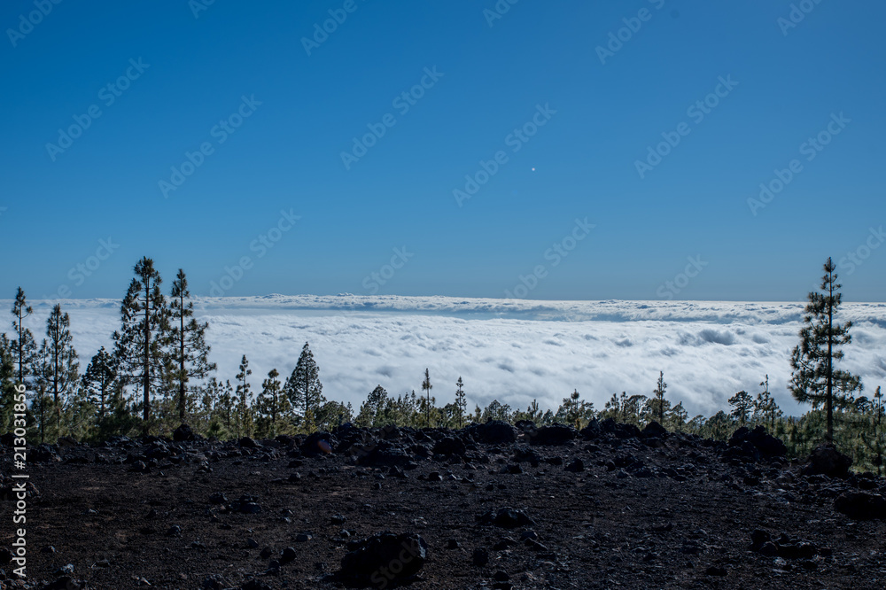 Nature and landscapes in Vulcanic Tenerife Nature and landscapes in Vulcanic Tenerife