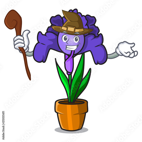 Witch iris flower mascot cartoon